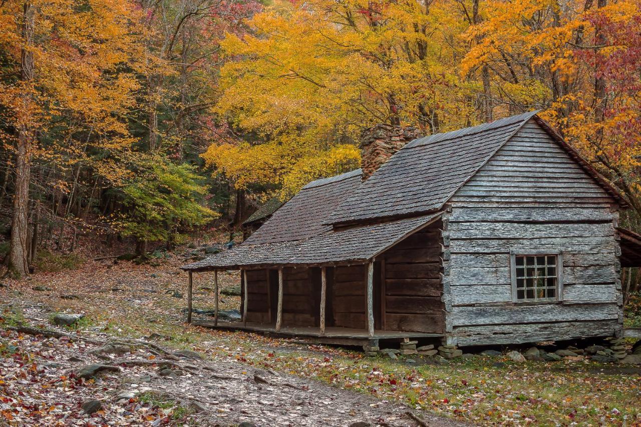 Lazy Bear Den Villa Sevierville Exteriör bild